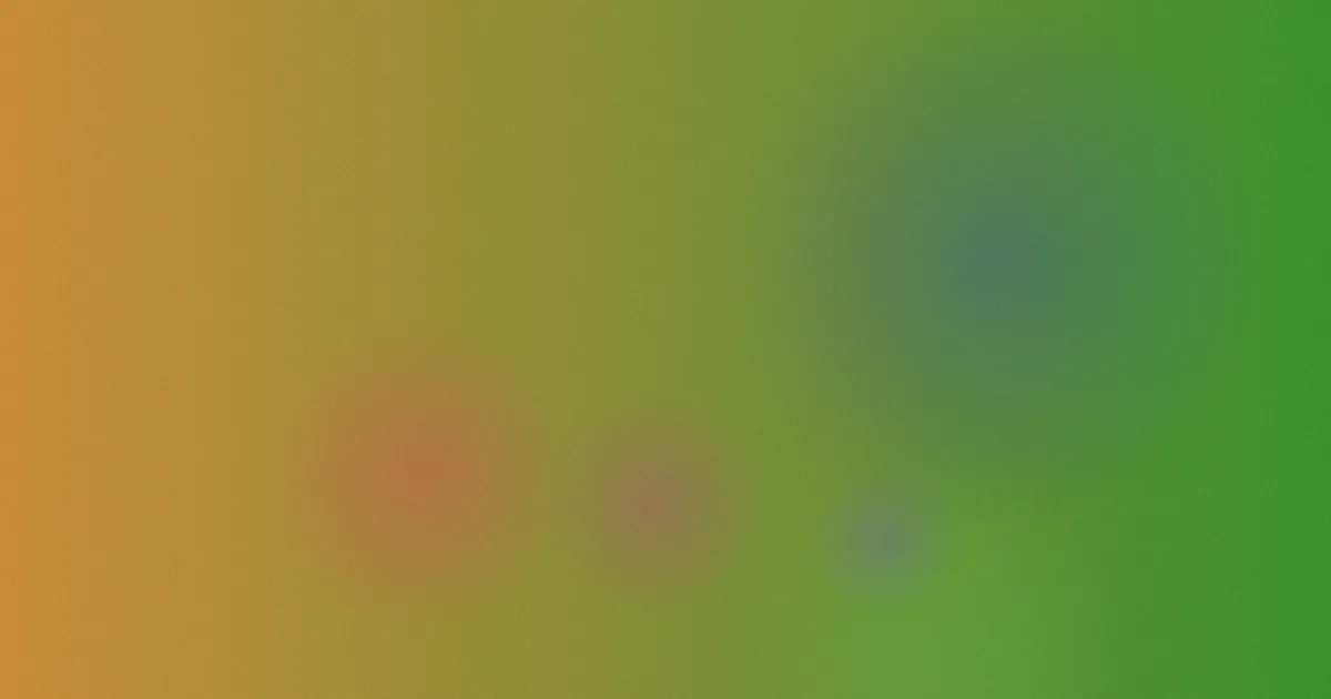 在线观看免费推荐：新手照着做